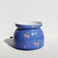 thumbnail image 1 of Flowerpot Decorative Ceramic,Flower Pattern Planter Pot, 1 of 7