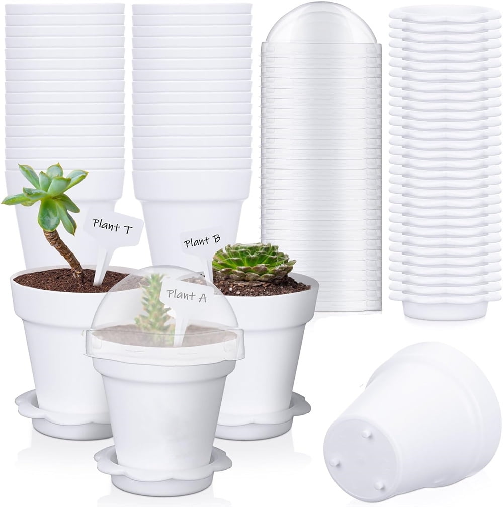 Flowerpot Dessert Cups,Plastic Gardening Plant Containers Pot with Lid and Bottom Tray,Small Flower Pot Cups Dessert Cups,Seedling Planter Starter Pots,20 Pcs,White