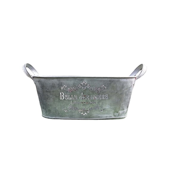 Flowerpot Plant Container Bucket Metal Pail Flower Pots Raised Garden Boxes Farmhouse Plant Bucket Garden Planter