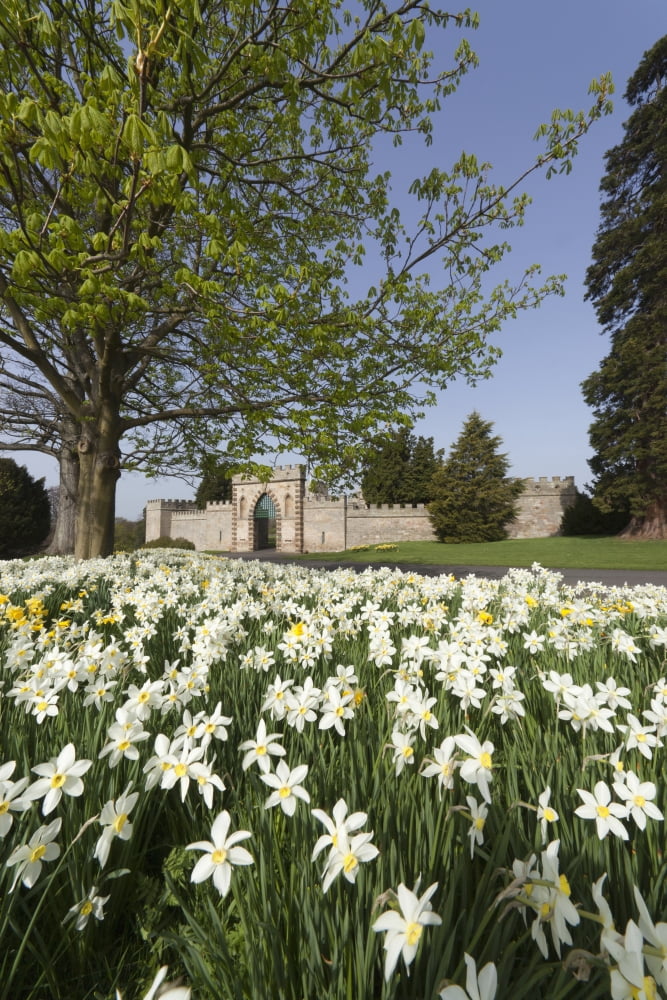 Flowers And The Entrance Gate To Ford Castle Ford Northumberland England Canvas Art - John Short Design Pics (12 x 19)