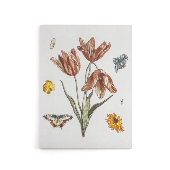 Flowers Butterflies And A Fly Johan Teyler Canvas Wall Art 18x24"