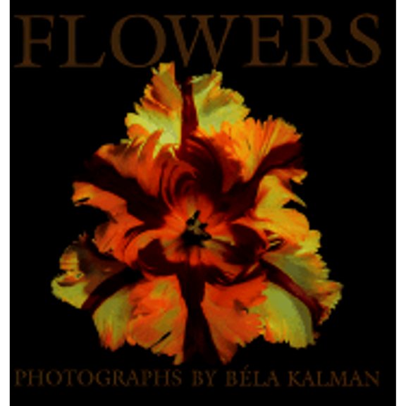 Pre-Owned Flowers (Hardcover) 0395832969 9780395832967