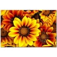thumbnail image 1 of Flowers Ceramic Tile Mural Kitchen Backsplash Bathroom Shower, 402296-M64, 1 of 3