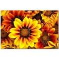 thumbnail image 1 of Flowers Ceramic Tile Mural Kitchen Backsplash Bathroom Shower, 402296-XL64, 1 of 3