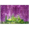 thumbnail image 1 of Flowers Ceramic Tile Mural Kitchen Backsplash Bathroom Shower, 402298-XL64, 1 of 3