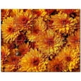 thumbnail image 1 of Flowers Ceramic Tile Mural Kitchen Backsplash Bathroom Shower, 402330-S54, 1 of 3