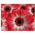 thumbnail image 1 of Flowers Ceramic Tile Mural Kitchen Backsplash Bathroom Shower, 402345-M54, 1 of 3