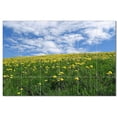 thumbnail image 1 of Flowers Ceramic Tile Mural Kitchen Backsplash Bathroom Shower, 402401-M64, 1 of 3
