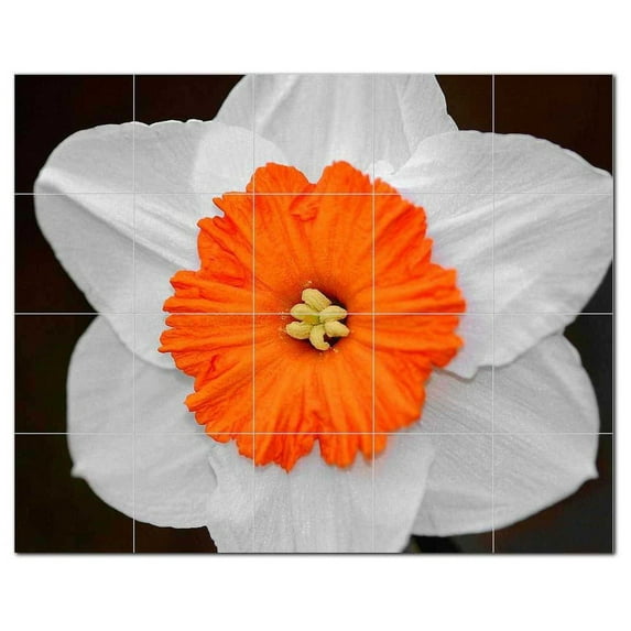 Flowers Ceramic Tile Mural Kitchen Backsplash Bathroom Shower, 402434-S54