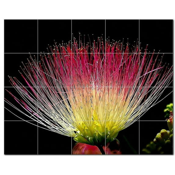 Flowers Ceramic Tile Mural Kitchen Backsplash Bathroom Shower, 402467-XL54