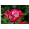 thumbnail image 1 of Flowers Ceramic Tile Mural Kitchen Backsplash Bathroom Shower, 402486-XL64, 1 of 3