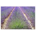 thumbnail image 1 of Flowers Ceramic Tile Mural Kitchen Backsplash Bathroom Shower, 402505-XL64, 1 of 3