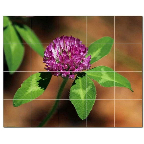 Flowers Ceramic Tile Mural Kitchen Backsplash Bathroom Shower, 402542-XL54