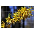 thumbnail image 1 of Flowers Ceramic Tile Mural Kitchen Backsplash Bathroom Shower, 402560-S64, 1 of 3