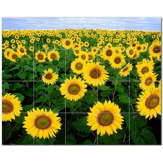 Flowers Ceramic Tile Mural Kitchen Backsplash Bathroom Shower, 402565-XL54