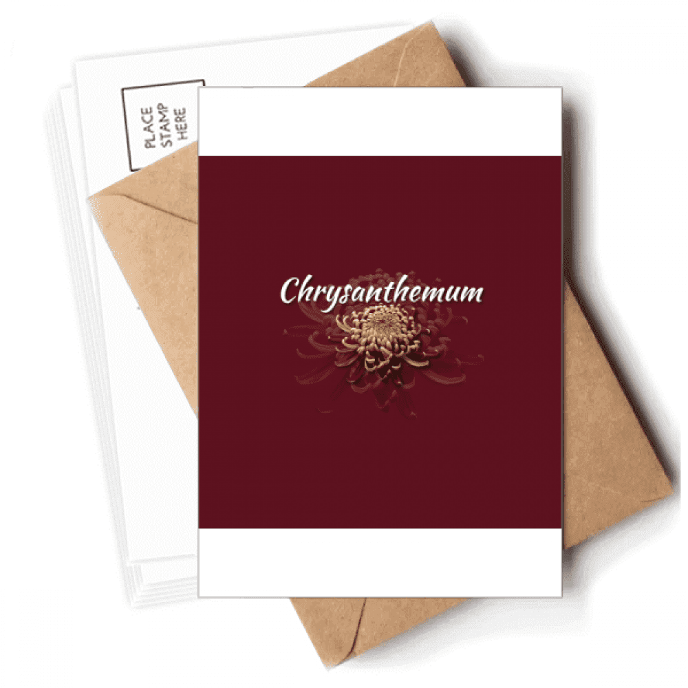 Flowers Chrysanthemums Blossom Beautifully Postcards Envelopes Blank Note Cards Mailing