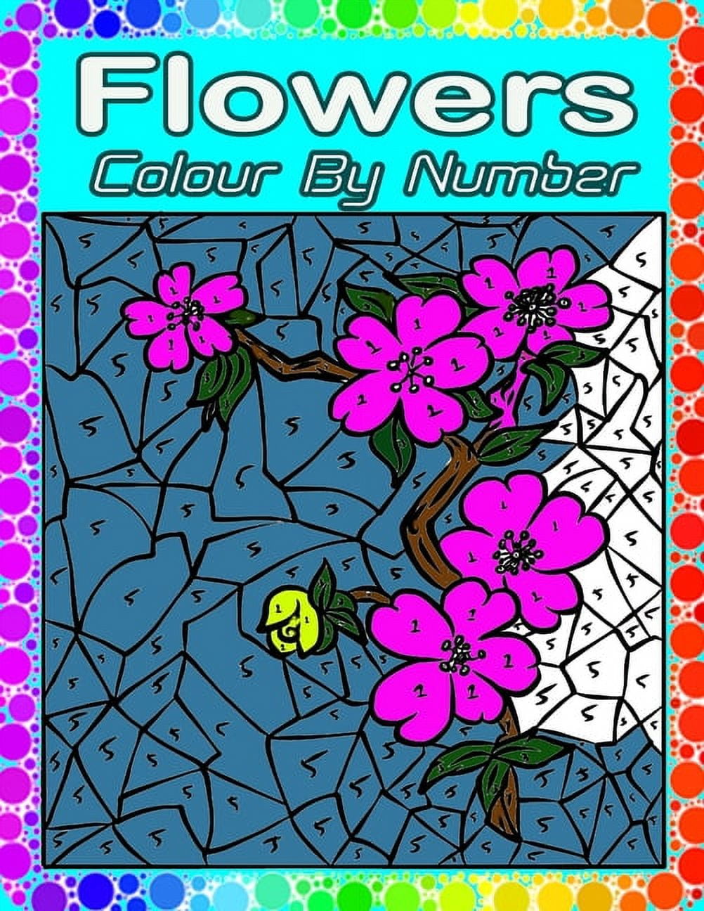 Flowers Color By Number Large Print Adults Color By Number Coloring