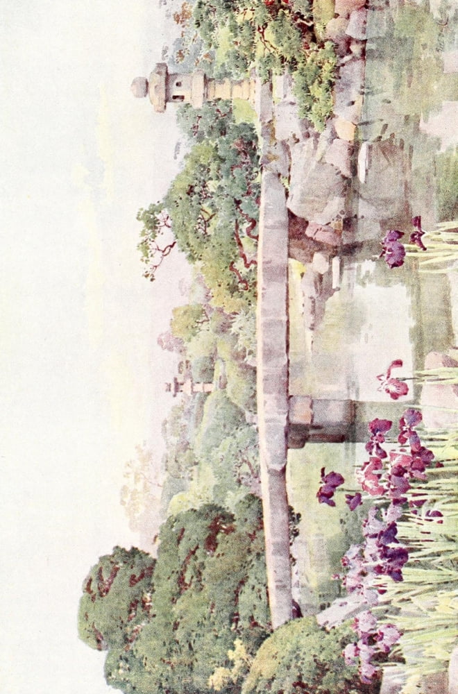 Flowers & Gardens of Japan 1908 Canvas Art - Ella Du Cane (18 x 24)