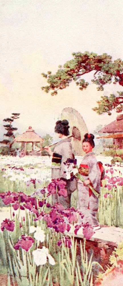 Flowers & Gardens of Japan 1908 Canvas Art - Ella Du Cane (18 x 24)