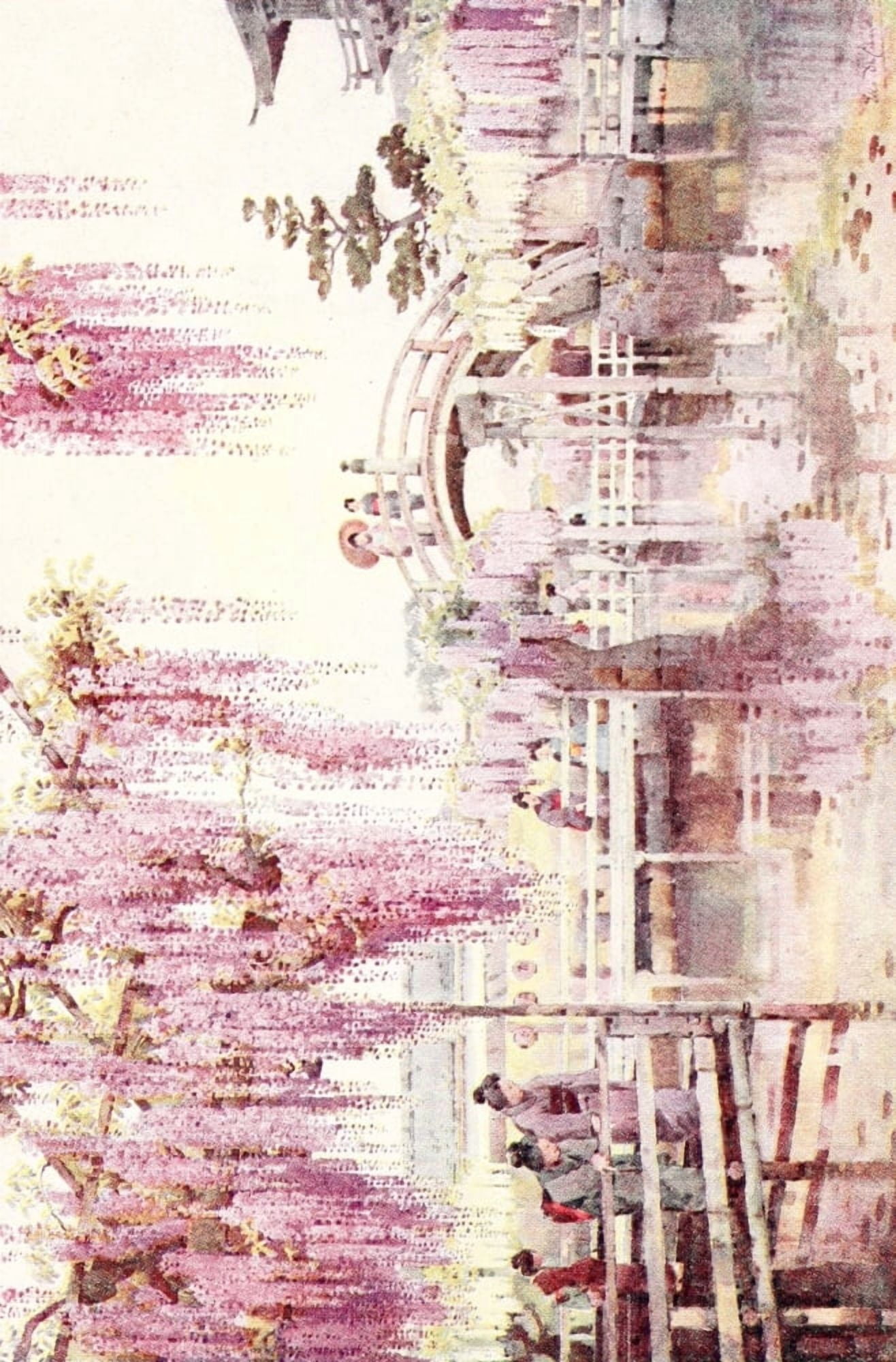 Flowers & Gardens of Japan 1908 Canvas Art - Ella Du Cane (24 x 36)