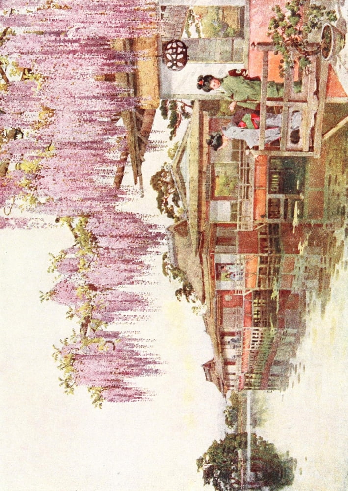Flowers & Gardens of Japan 1908 Canvas Art - Ella Du Cane (24 x 36)