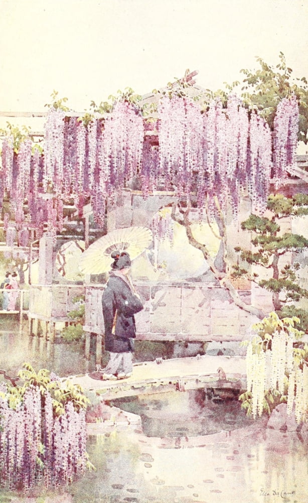 Flowers & Gardens of Japan 1908 Canvas Art - Ella Du Cane (24 x 36)