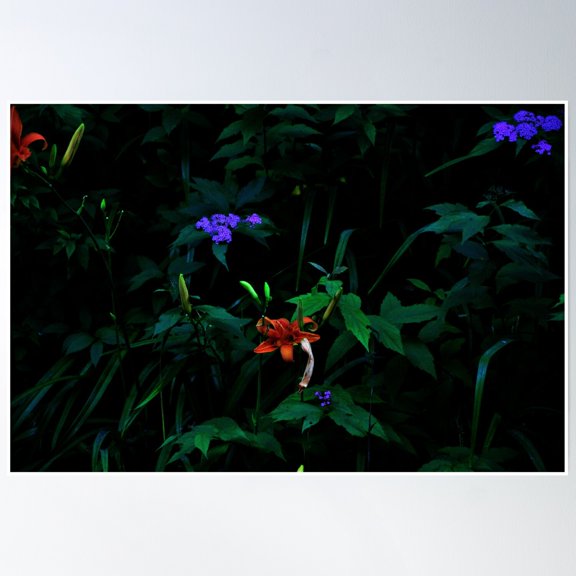 Flowers In The Forest Poster Wall Art, Modern Wall Decor, 8x12 UNFRAMED