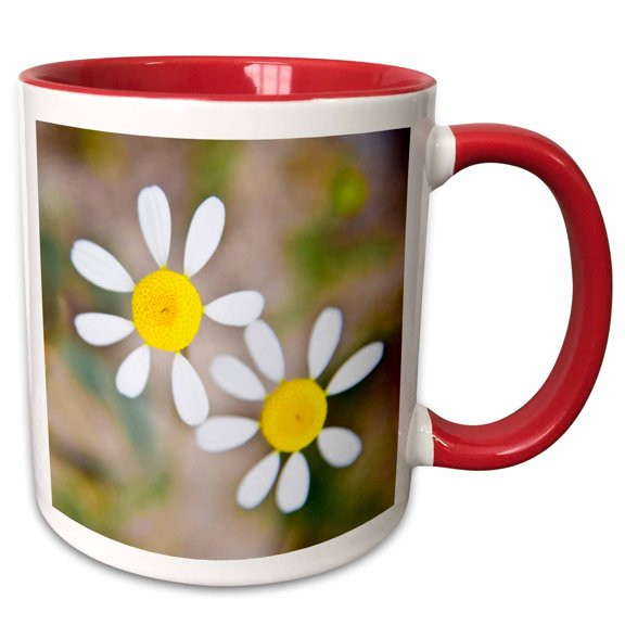3drose, Flowers in Western Cape Np, South Africa.-af42 Rbe0013 - Ralph H. Bendjebar, 11oz Two-tone Red Mug