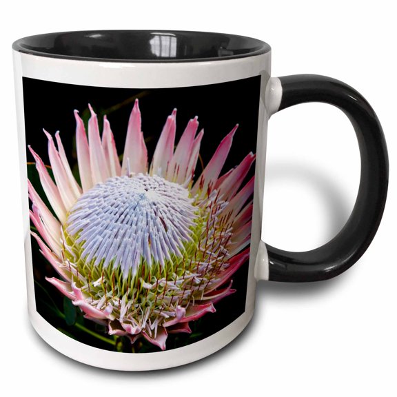 3drose, Flowers, Kirstenbosch Gardens, South Africa-af42 Rbe0058 - Ralph H. Bendjebar, 11oz Two-tone Black Mug