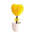 thumbnail image 1 of Flowers LUXLEVO Heart Shaped Bonsai Mini Potted for Home Desk Small Ornamental Tabletop Decoration, 1 of 6
