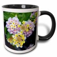 thumbnail image 1 of 3drose, Flowers Lantana Lemon and Lilac, 15oz Two-tone Black Mug, 1 of 6