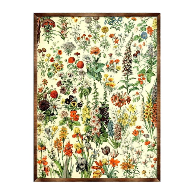 Flowers Montessori Wooden Poster | Homeschool I Educational Poster ...
