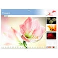 thumbnail image 1 of Flowers (Monthly Wall Calendar 2026 16.5 x 23.4 (open)), CALVENDO 14 Month Calendar, 1 of 9