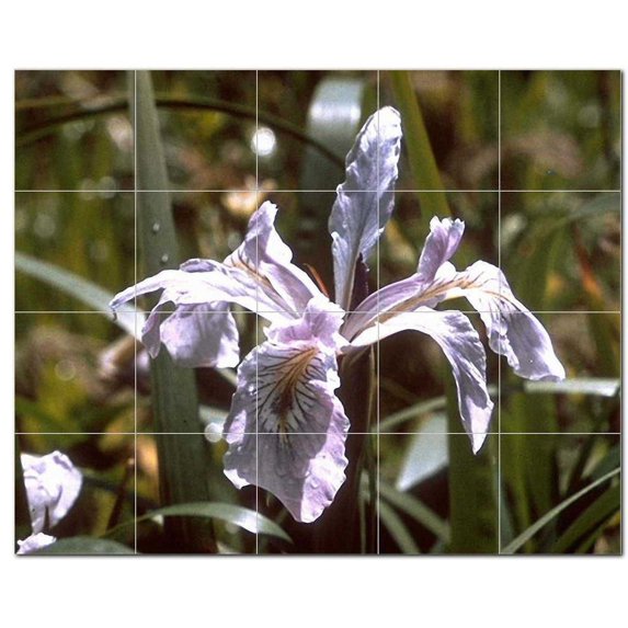 Flowers Npsh Ceramic Tile Mural Kitchen Backsplash Bathroom Shower, 405039-M54