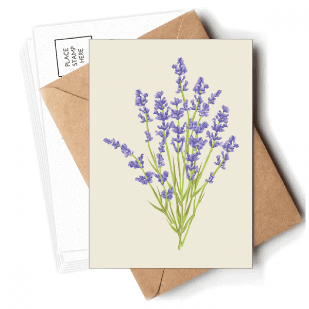 Flowers  Painting lavender Postcards Envelopes Blank Note Cards Mailing