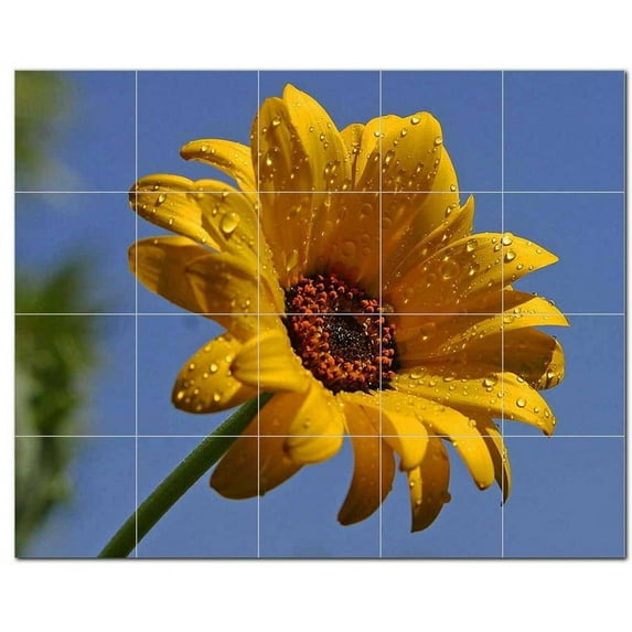 Flowers Pdphotoh Ceramic Tile Mural Kitchen Backsplash Bathroom Shower, 405058-M