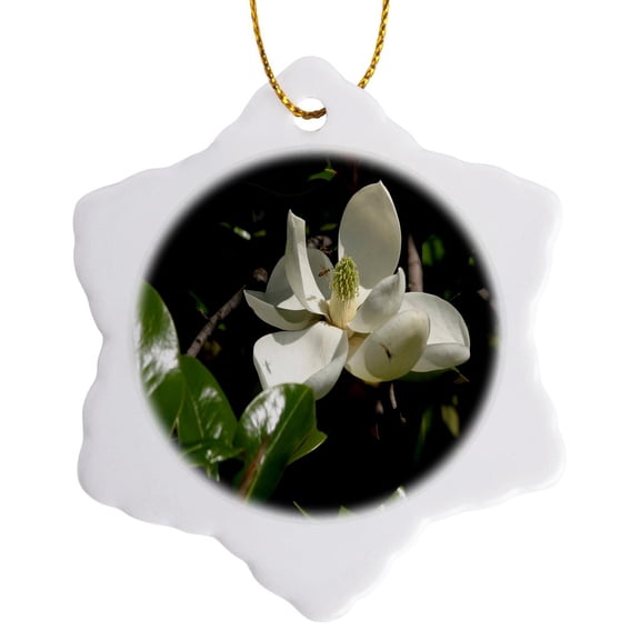 3drose, Flowers Pretty Magnolia Bloom, 3 inch Snowflake Porcelain Ornament