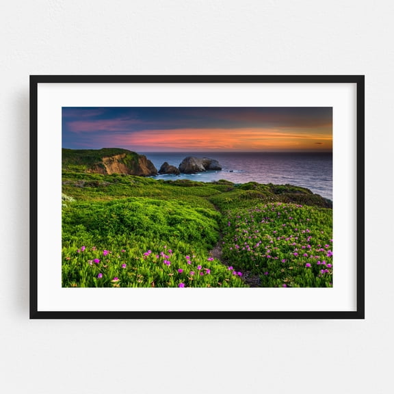 Flowers over Rodeo Beach - San Francisco California Photography Coastal Ocean Landscape Sunset Flowers Nature Scenic Black Framed Wall Art Print 5 x 7 inches
