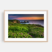 Flowers over Rodeo Beach - San Francisco California Photography Coastal Ocean Landscape Sunset Flowers Nature Scenic Oak Framed Wall Art Print 5 x 7 inches