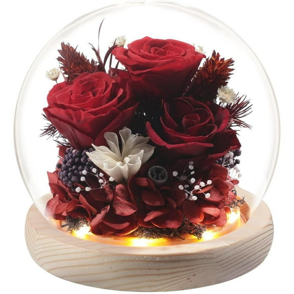 Flowers, Roses Gift - Fresh Flowers Bouquet & Preserved Flowers Roses for Home Decor - Flowers for Delivery to Show Love - Ideal Flowers Birthday Gift , Unique for Mother's Day & Christmas(Red)
