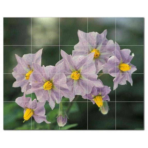 Flowers Usda Ceramic Tile Mural Kitchen Backsplash Bathroom Shower, 405085-L54