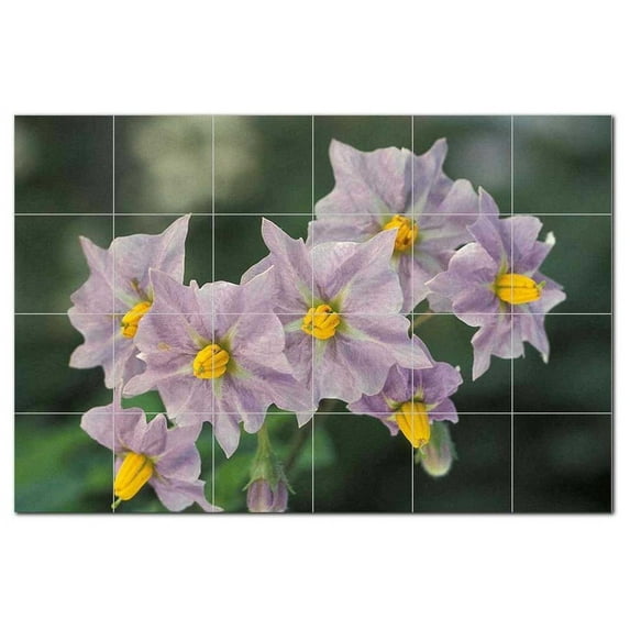 Flowers Usda Ceramic Tile Mural Kitchen Backsplash Bathroom Shower, 405085-S64