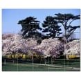 thumbnail image 1 of Flowers Usda Ceramic Tile Mural Kitchen Backsplash Bathroom Shower, 405097-XL54, 1 of 3