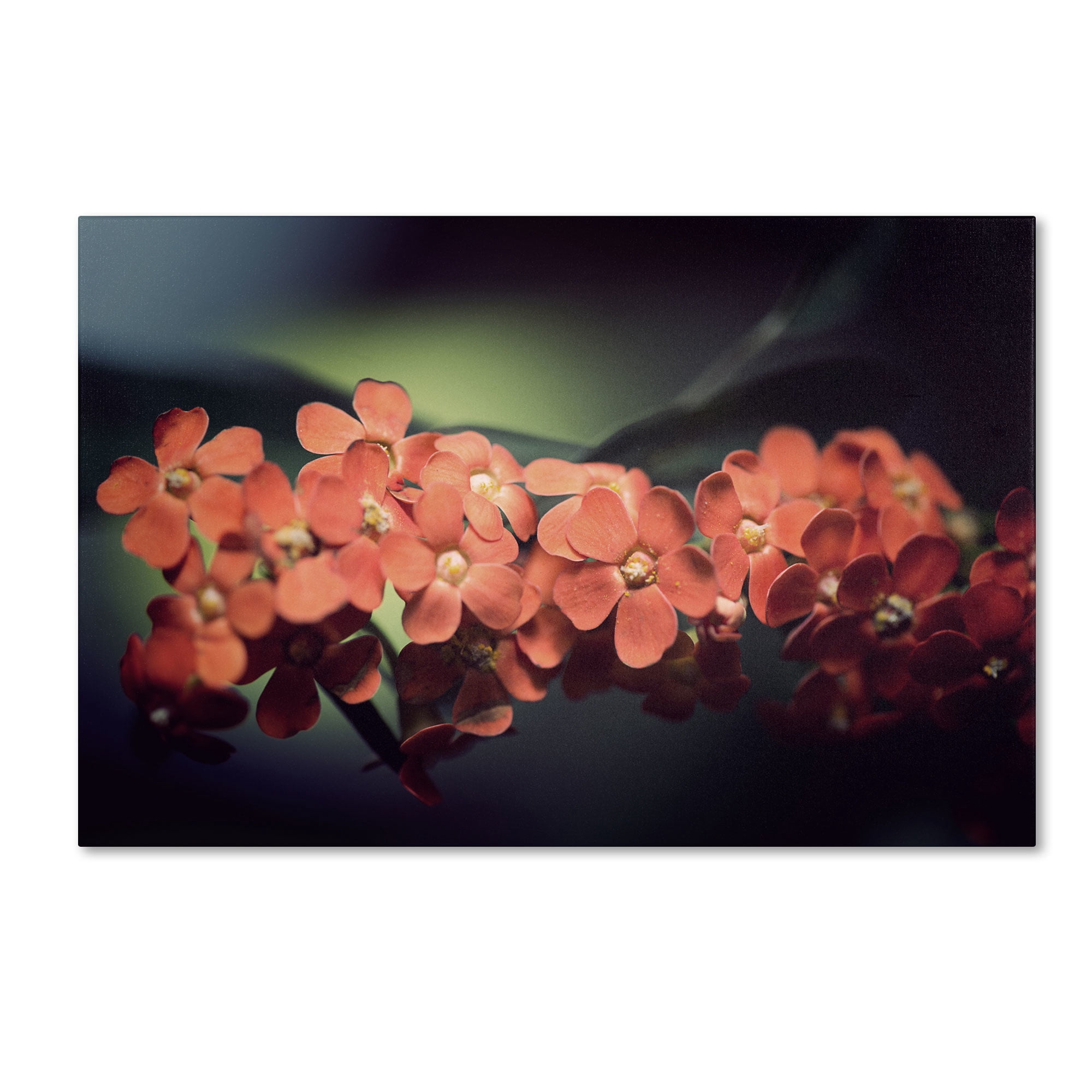 "Flowers Waiting" Canvas Art by Philippe Sainte-Laudy