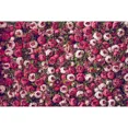 thumbnail image 1 of Flowers Wall Backdrops Photography Birthday Wedding ration Custom Pink Red Rose Home Studio Photo Backgrounds Props, 1 of 8