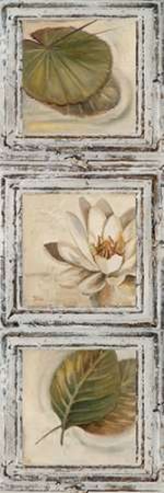 Flowers and Leaves IV Canvas Art - Patricia Pinto (8 x 24)