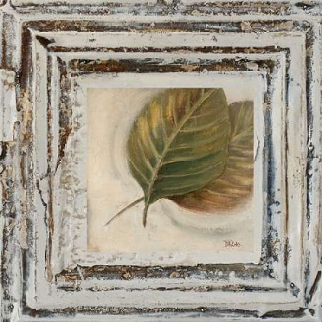 Flowers and Leaves Square VIII Canvas Art - Patricia Pinto (24 x 24)