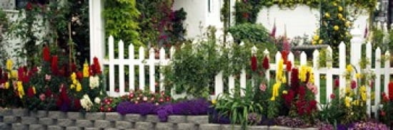 Flowers and picket fence in a garden La Jolla San Diego California USA Canvas Art - Panoramic Images (36 x 12)
