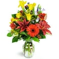 thumbnail image 1 of Flowers by Frances Fires of Autumn - Deluxe, 1 of 1