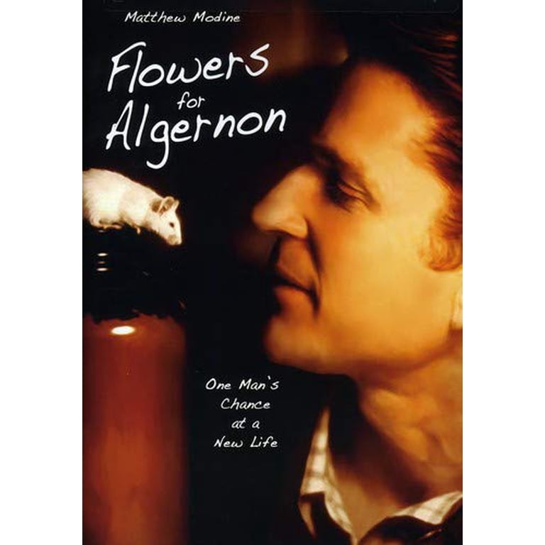 Flowers for Algernon - Acclaimed Drama Movie (DVD) - Walmart.com